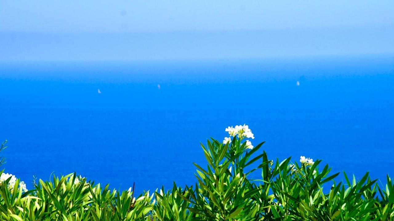 Villa Petale De Rose Cavalaire-sur-Mer Buitenkant foto